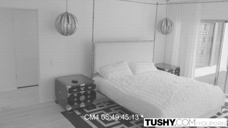 Hotel Couple Does Housekeeper