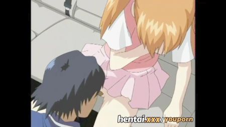 Anty Pooping Spy Cam